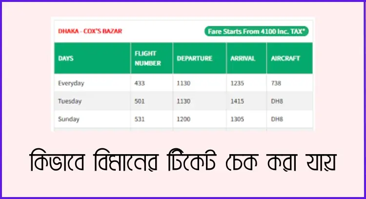 কিভাবে বিমানের টিকেট চেক করা যায়